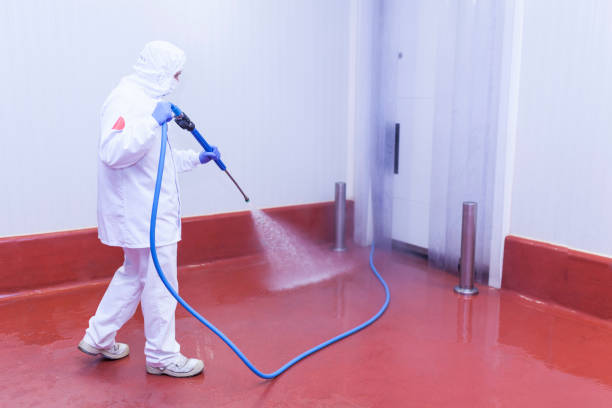 Best Patio and Deck Pressure Washing  in Laguna Vista, TX