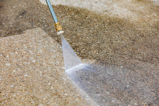 Best Paint Preparation  in Laguna Vista, TX