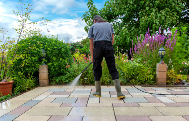 Best Patio and Deck Pressure Washing  in Laguna Vista, TX