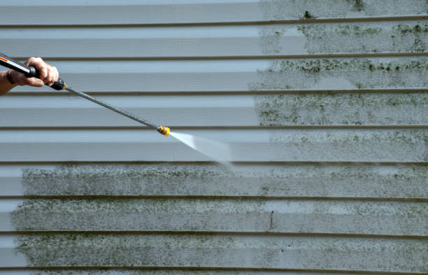 Best Sidewalk and Walkway Cleaning  in Laguna Vista, TX