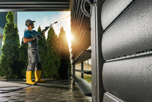 Best Graffiti Removal  in Laguna Vista, TX
