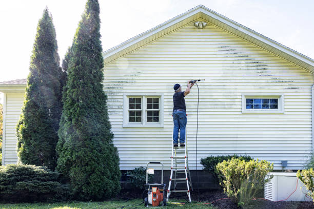 Best House Exterior Washing  in Laguna Vista, TX