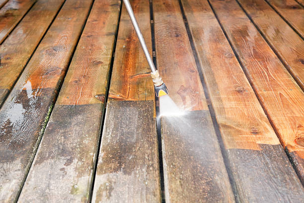 Best Dumpster Area Cleaning  in Laguna Vista, TX